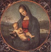RAFFAELLO Sanzio Virgin Mary oil
